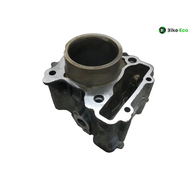 Piston cylindre YAMAHA CZD 300 2017-2020 XMAX