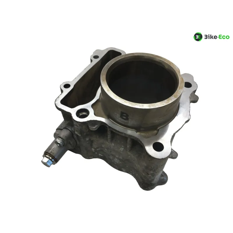 Piston cylindre YAMAHA CZD 300 2017-2020 XMAX