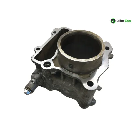 Piston cylindre YAMAHA CZD 300 2017-2020 XMAX