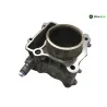 Piston cylindre YAMAHA CZD 300 2017-2020 XMAX