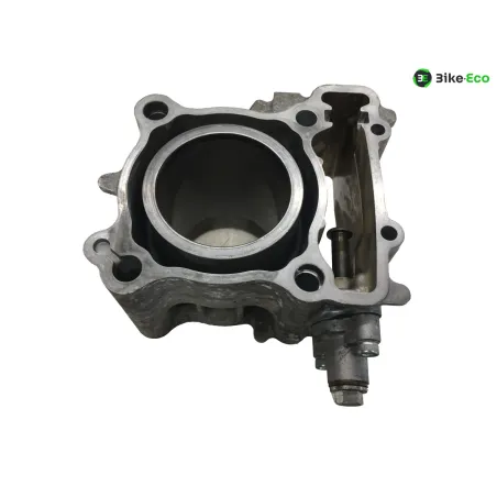 Piston cylindre YAMAHA CZD 300 2017-2020 XMAX