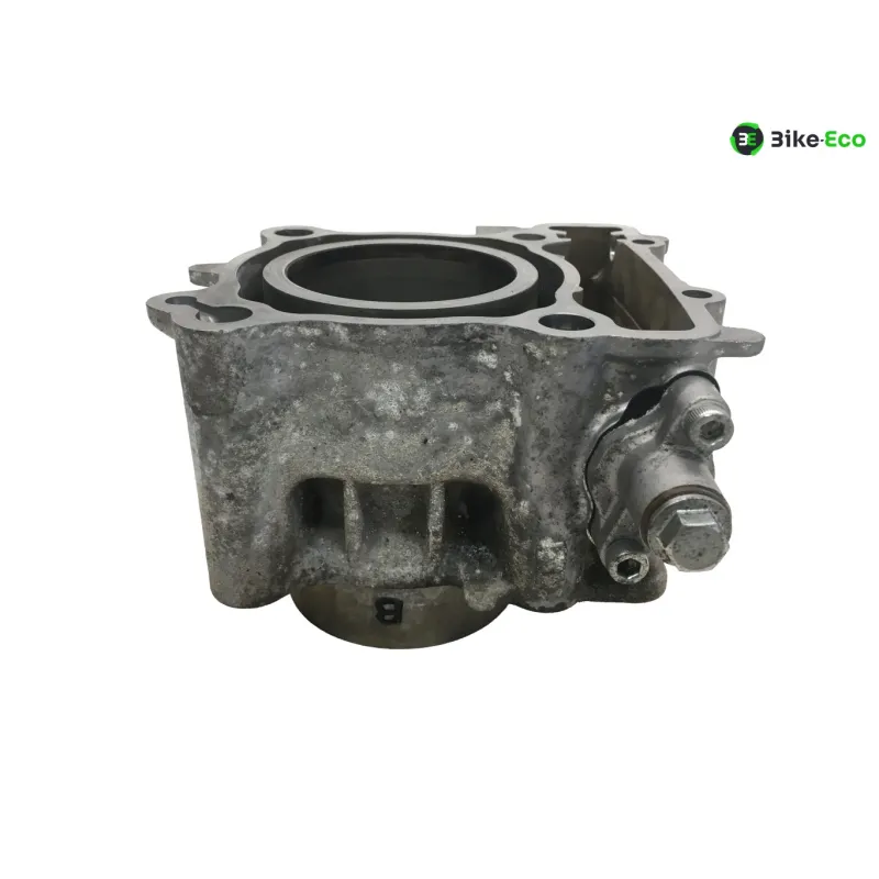 Piston cylindre YAMAHA CZD 300 2017-2020 XMAX