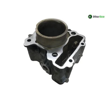 Piston cylindre YAMAHA CZD 300 2017-2020 XMAX