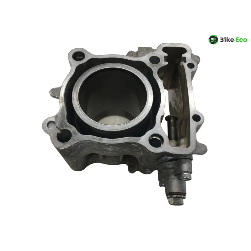 Piston cylindre YAMAHA CZD 300 2017-2020 XMAX