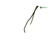 Feu arriere DUCATI MONSTER 696 2008-2010