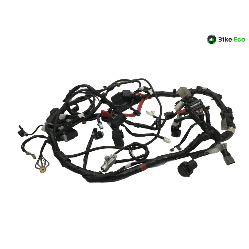 Faisceau electrique YAMAHA CZD 300 2017-2020 XMAX