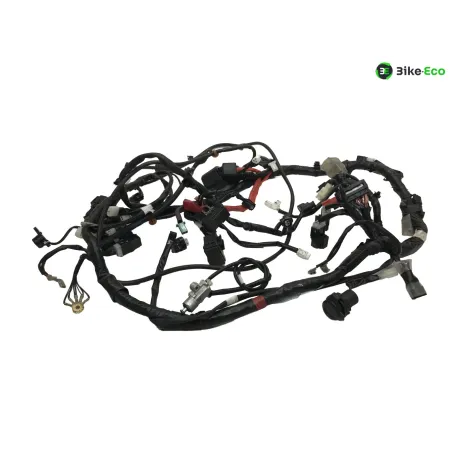Faisceau electrique YAMAHA CZD 300 2017-2020 XMAX