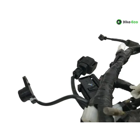 Faisceau electrique YAMAHA CZD 300 2017-2020 XMAX