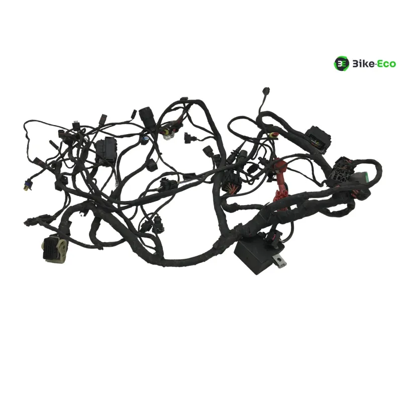 Faisceau electrique BMW C 600 SPORT 2011-2015 K18
