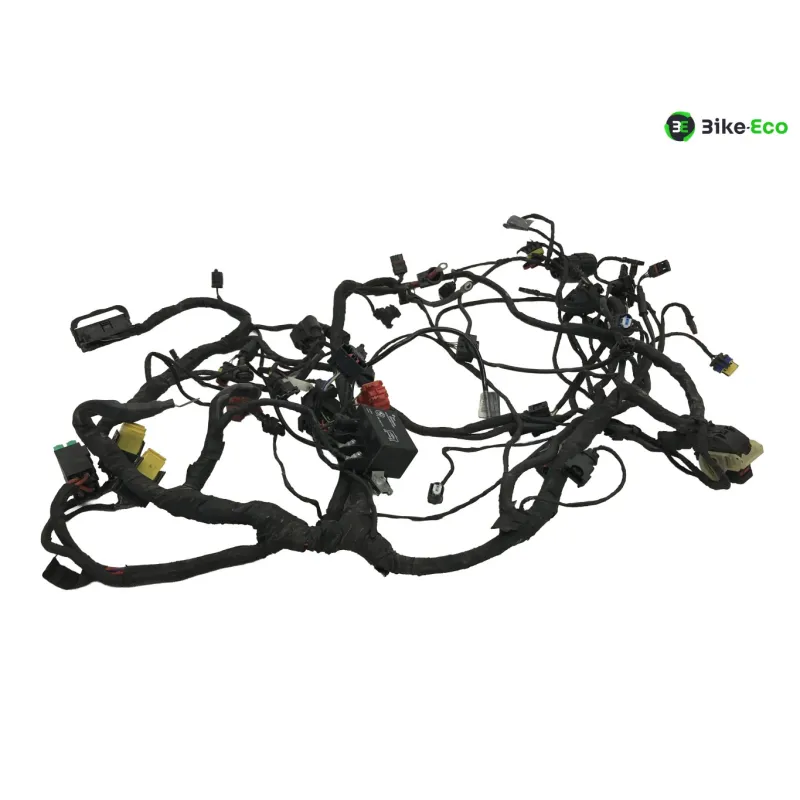 Faisceau electrique BMW C 600 SPORT 2011-2015 K18