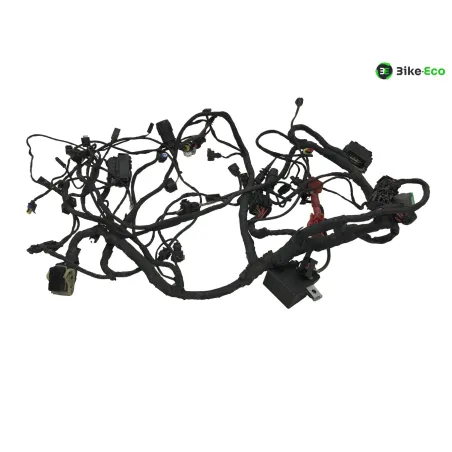 Faisceau electrique BMW C 600 SPORT 2011-2015 K18