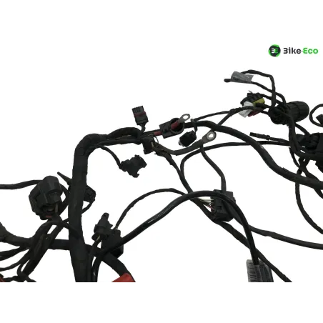 Faisceau electrique BMW C 600 SPORT 2011-2015 K18