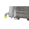 Radiateur eau PEUGEOT ELYSEO 125 2000 - 2007