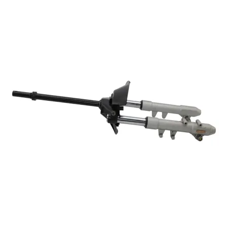 Fourche complete PEUGEOT ELYSEO 125 2000 - 2007