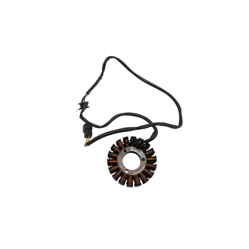 Stator alternateur SUZUKI GS 500 2003 - 2006
