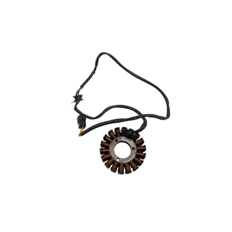 Stator alternateur SUZUKI GS 500 2003 - 2006