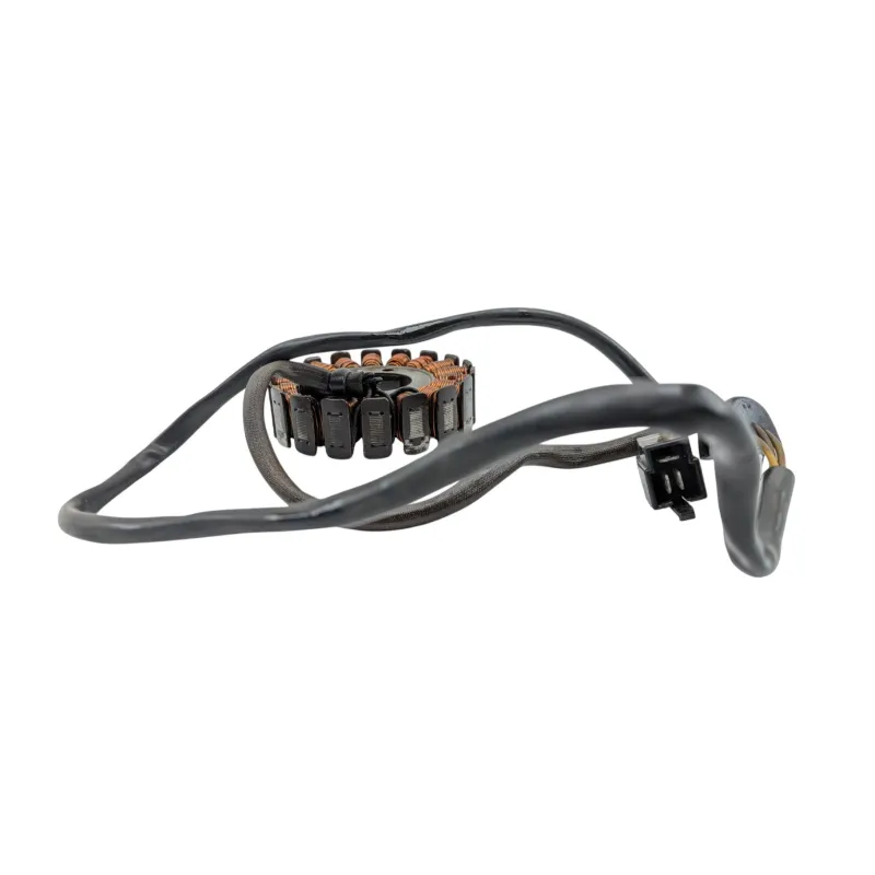 Stator alternateur SUZUKI GS 500 2003 - 2006
