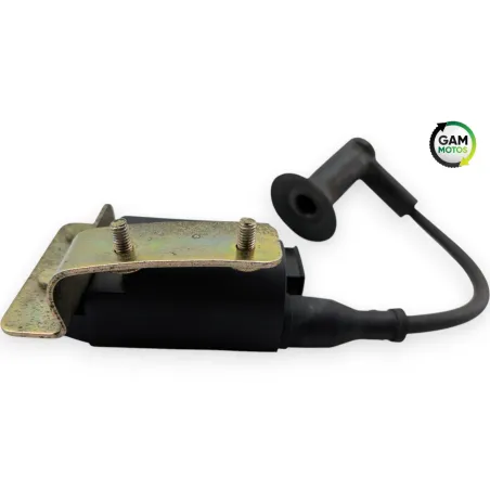 Bobine allumage PIAGGIO FLY 50 2009 - 2016