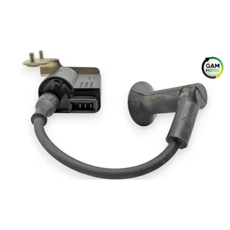 Bobine allumage PIAGGIO FLY 50 2009 - 2016