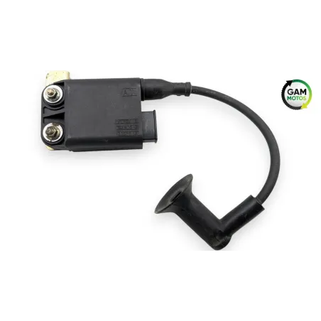 Bobine allumage PIAGGIO FLY 50 2009 - 2016