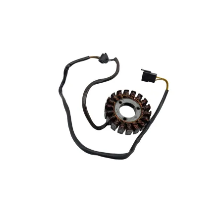 Stator alternateur SUZUKI GS 500 2003 - 2006