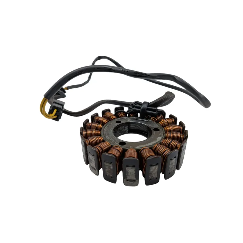 Stator alternateur SUZUKI GS 500 2003 - 2006