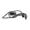 Stator alternateur SUZUKI GS 500 2003 - 2006