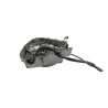 Stator alternateur SUZUKI GSE 500 2001 - 2002