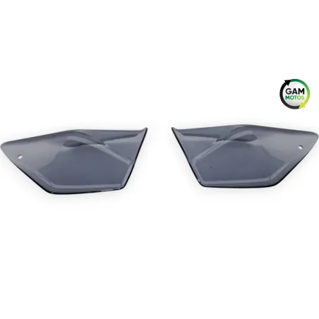 Protege main droit BMW R 1200 NINET 2014 - 2023