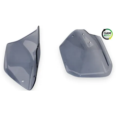 Protege main droit BMW R 1200 NINET 2014 - 2023