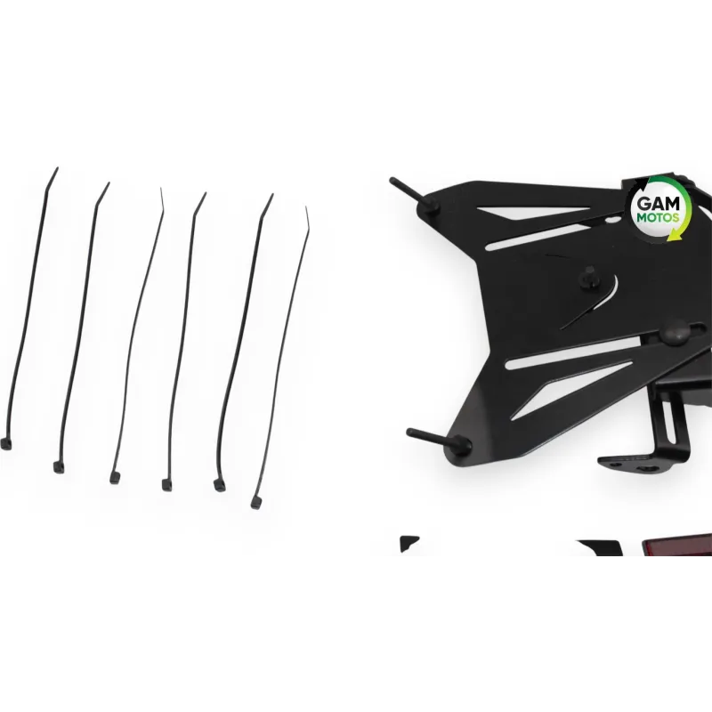 Support de plaque et eclairage BMW S 1000 R 2021 -2024