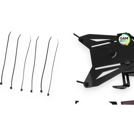 Support de plaque et eclairage BMW S 1000 R 2021 -2024