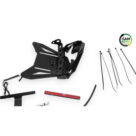 Support de plaque et eclairage BMW S 1000 R 2021 -2024