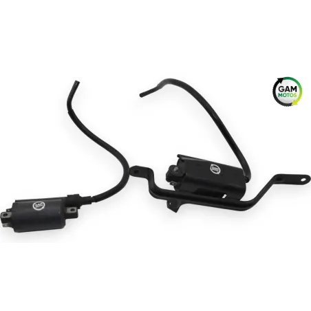 Bobine allumage YAMAHA TDM 900 ABS 2002 - 2014