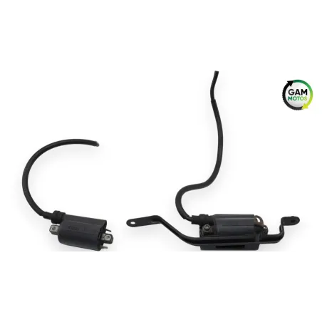 Bobine allumage YAMAHA TDM 900 ABS 2002 - 2014