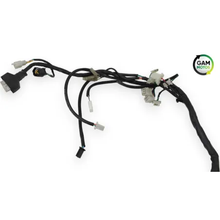 Faisceau electrique PEUGEOT DJANGO 50 2018 - 2021