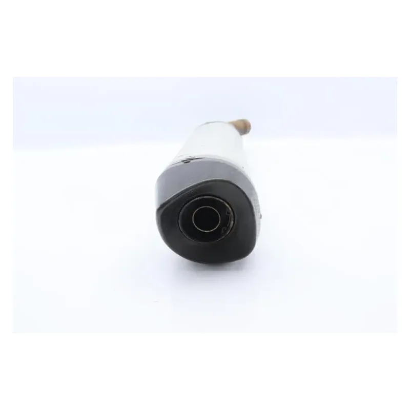 Silencieux (echappement) YAMAHA YZF 125 R ABS 2019 - 2022