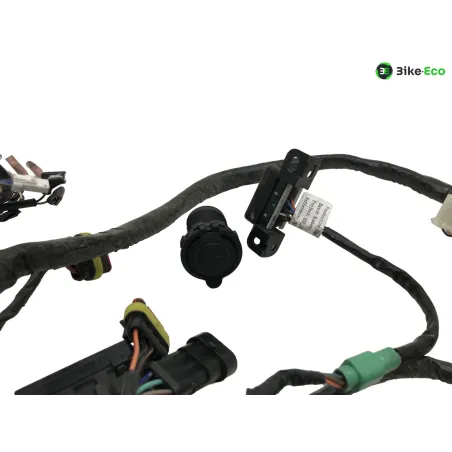 Faisceau electrique SILENCE S02 HS 2020-2025