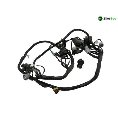 Faisceau electrique SILENCE S02 HS 2020-2025