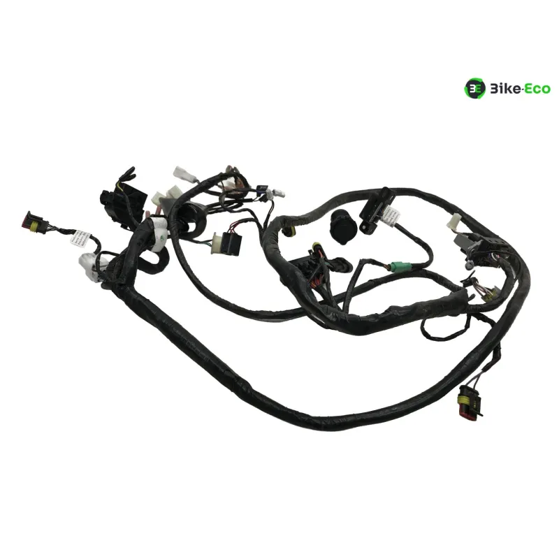 Faisceau electrique SILENCE S02 HS 2020-2025