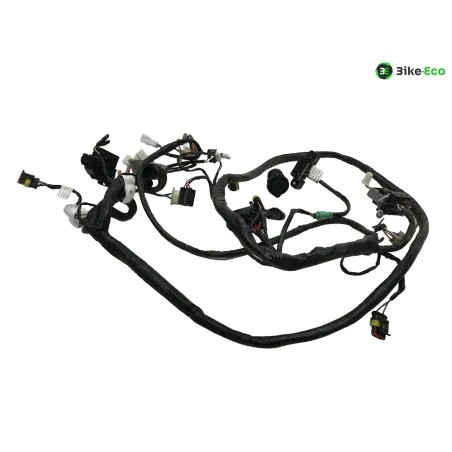 Faisceau electrique SILENCE S02 HS 2020-2025
