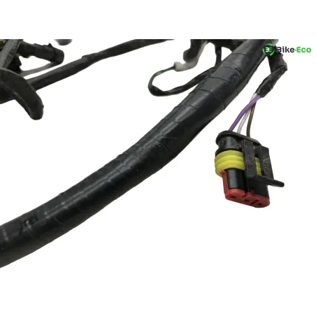 Faisceau electrique SILENCE S02 HS 2020-2025