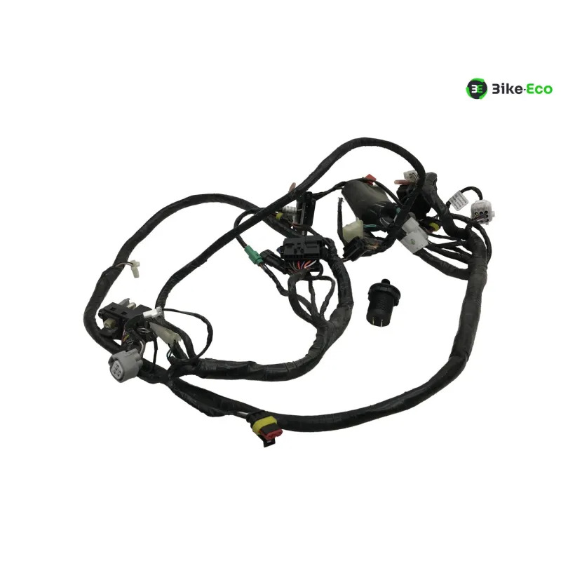 Faisceau electrique SILENCE S02 HS 2020-2025