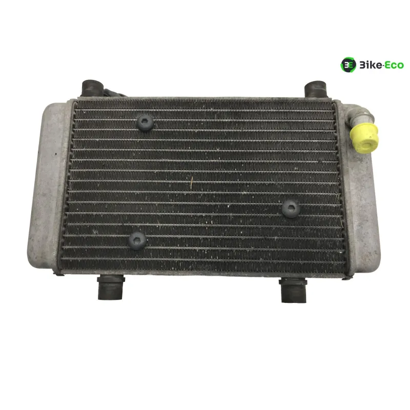 Radiateur eau YAMAHA YPR 125 2014-2017 XMAX ABS