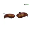 Feu arriere SUZUKI AN 650 2003-2005 BURGMAN