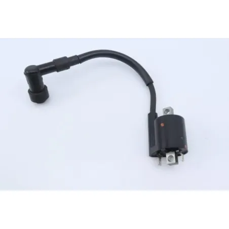 Bobine allumage YAMAHA GPD 125 NMAX ABS 2017 - 2020