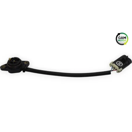 Capteur de vitesse INDIAN SPRINGFIELD 1811 2016 - 2021