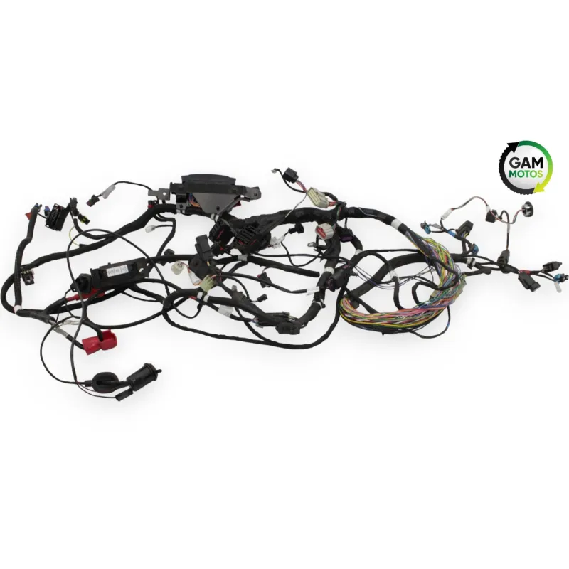 Faisceau electrique INDIAN SPRINGFIELD 1811 2016 - 2021