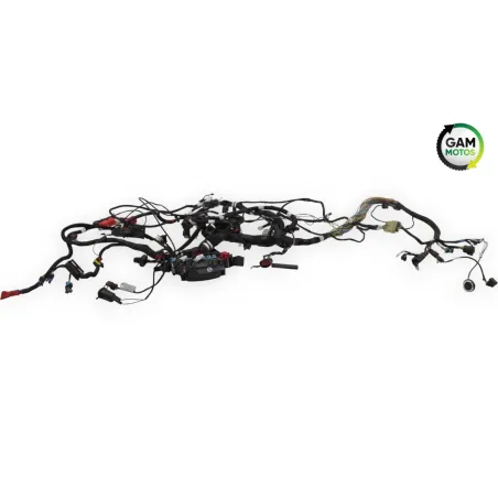 Faisceau electrique INDIAN SPRINGFIELD 1811 2016 - 2021