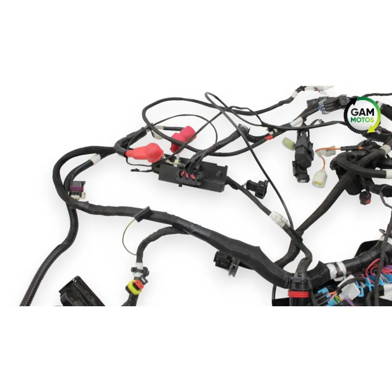 Faisceau electrique INDIAN SPRINGFIELD 1811 2016 - 2021